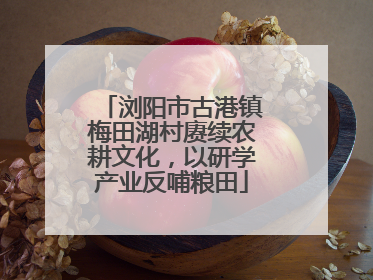 浏阳市古港镇梅田湖村赓续农耕文化，以研学产业反哺粮田