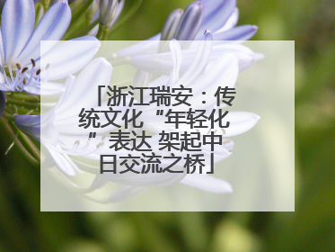 浙江瑞安：传统文化“年轻化”表达 架起中日交流之桥