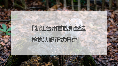 浙江台州首艘新型边检执法艇正式归建
