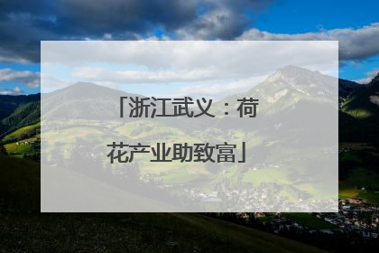 浙江武义：荷花产业助致富
