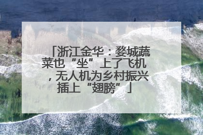浙江金华：婺城蔬菜也“坐”上了飞机，无人机为乡村振兴插上“翅膀”