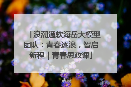 浪潮通软海岳大模型团队：青春逐浪，智启新程｜青春思政课