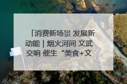 消费新场景 发展新动能｜烟火河间 文武交响 催生“美食+文化”消费新场景