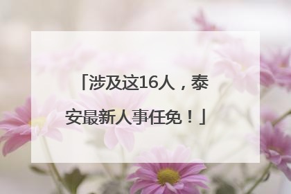 涉及这16人，泰安最新人事任免！