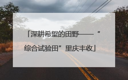 深耕希望的田野——“综合试验田”里庆丰收