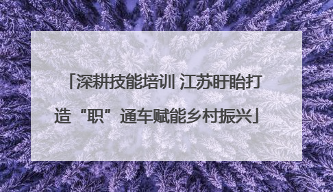 深耕技能培训 江苏盱眙打造“职”通车赋能乡村振兴