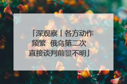 深观察丨各方动作频繁  俄乌第二次直接谈判前景不明