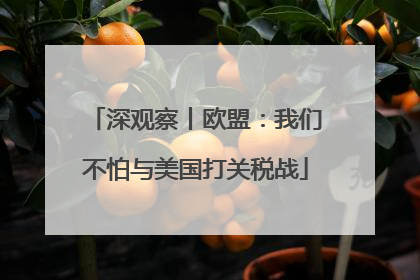 深观察丨欧盟：我们不怕与美国打关税战