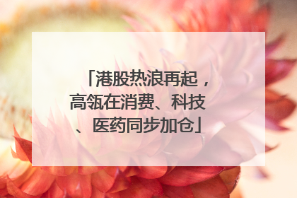 港股热浪再起，高瓴在消费、科技、医药同步加仓