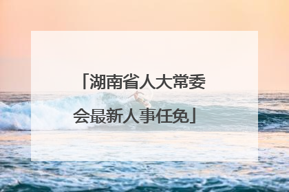 湖南省人大常委会最新人事任免