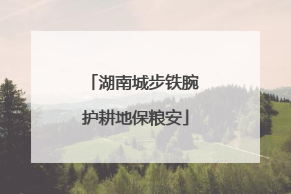 湖南城步铁腕护耕地保粮安