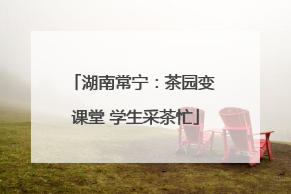 湖南常宁：茶园变课堂 学生采茶忙