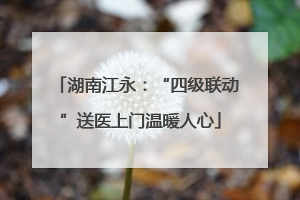 湖南江永：“四级联动”送医上门温暖人心