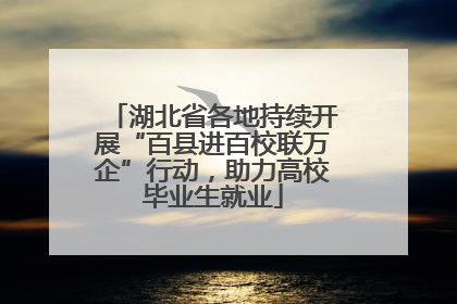 湖北省各地持续开展“百县进百校联万企”行动，助力高校毕业生就业
