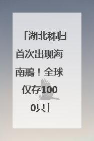 湖北秭归首次出现海南鳽！全球仅存1000只