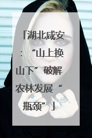 湖北咸安：“山上换山下”破解农林发展“瓶颈”