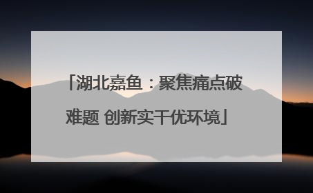 湖北嘉鱼：聚焦痛点破难题 创新实干优环境