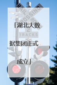 湖北大数据集团正式成立