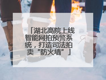 湖北高院上线智能网拍预警系统，打造司法拍卖“防火墙”