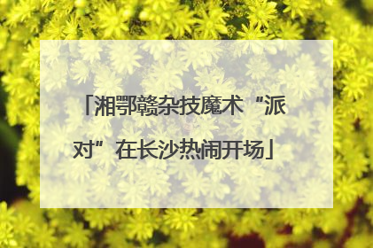 湘鄂赣杂技魔术“派对”在长沙热闹开场