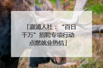 溆浦人社：“百日千万”招聘专项行动点燃就业热情