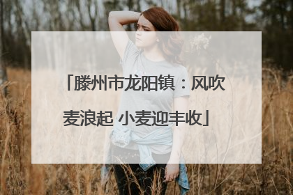 滕州市龙阳镇：风吹麦浪起 小麦迎丰收