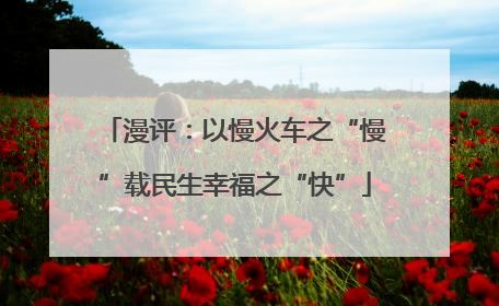 漫评：以慢火车之“慢”载民生幸福之“快”