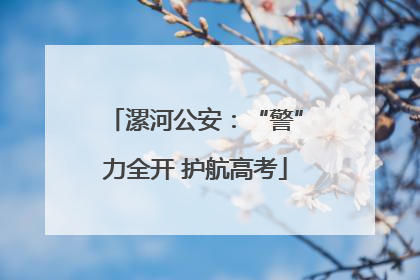 漯河公安：“警”力全开 护航高考