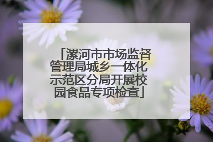 漯河市市场监督管理局城乡一体化示范区分局开展校园食品专项检查