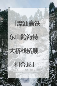 漳汕高铁东山跨海特大桥栈桥顺利合龙