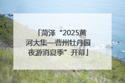 菏泽“2025黄河大集—曹州牡丹园夜游消夏季”开幕