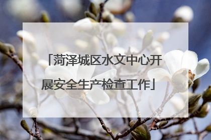 菏泽城区水文中心开展安全生产检查工作