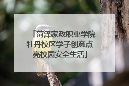 菏泽家政职业学院牡丹校区学子创意点亮校园安全生活