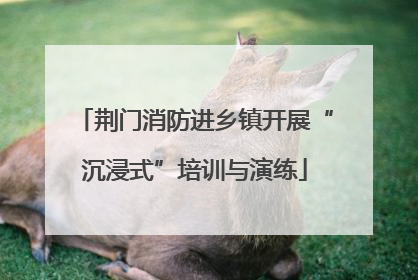 荆门消防进乡镇开展“沉浸式”培训与演练