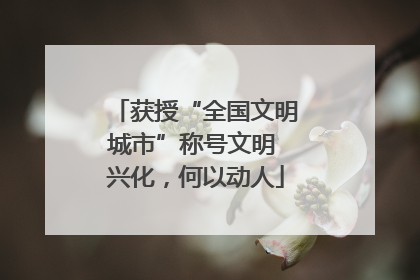 获授“全国文明城市”称号文明 兴化，何以动人