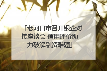老河口市召开银企对接座谈会 信用评价助力破解融资难题