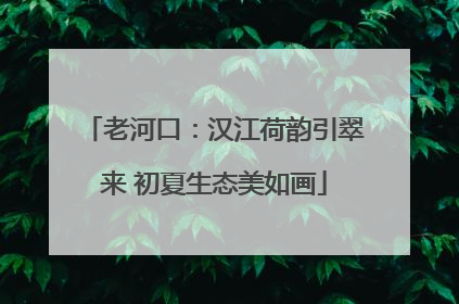 老河口：汉江荷韵引翠来 初夏生态美如画