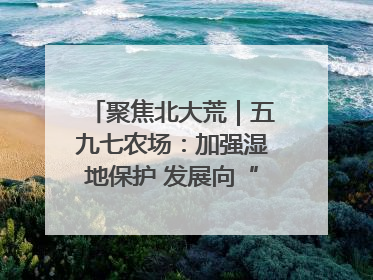 聚焦北大荒｜五九七农场：加强湿地保护 发展向“绿”而行
