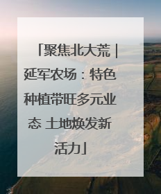 聚焦北大荒｜延军农场：特色种植带旺多元业态 土地焕发新活力