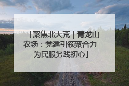 聚焦北大荒｜青龙山农场：党建引领聚合力 为民服务践初心