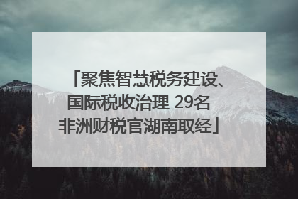 聚焦智慧税务建设、国际税收治理 29名非洲财税官湖南取经