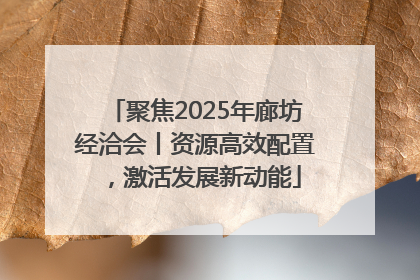 聚焦2025年廊坊经洽会丨资源高效配置，激活发展新动能