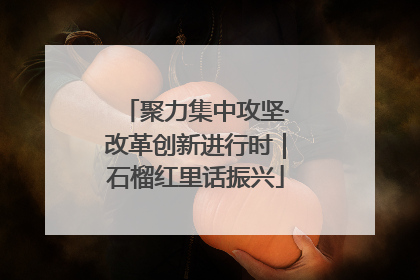 聚力集中攻坚·改革创新进行时｜石榴红里话振兴