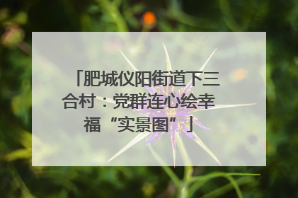 肥城仪阳街道下三合村：党群连心绘幸福“实景图”