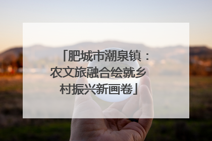 肥城市潮泉镇：农文旅融合绘就乡村振兴新画卷