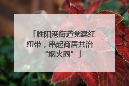 胜阳港街道党建红纽带，串起商居共治 “烟火圈”