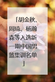 胡金秋、周琦、杨瀚森等入选新一期中国男篮集训名单