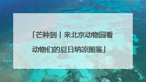 芒种到丨来北京动物园看动物们的夏日纳凉图鉴