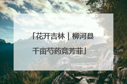 花开吉林｜柳河县千亩芍药竞芳菲