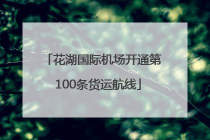 花湖国际机场开通第100条货运航线